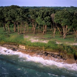 Photo du littoral du Parc National d'Akanda