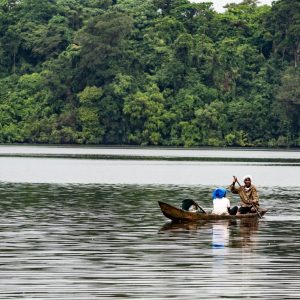 parcs nationaux gabon faune foret equatoriale