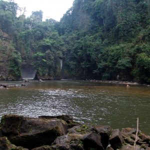 Clairière dans le parc Parc National de Birougou