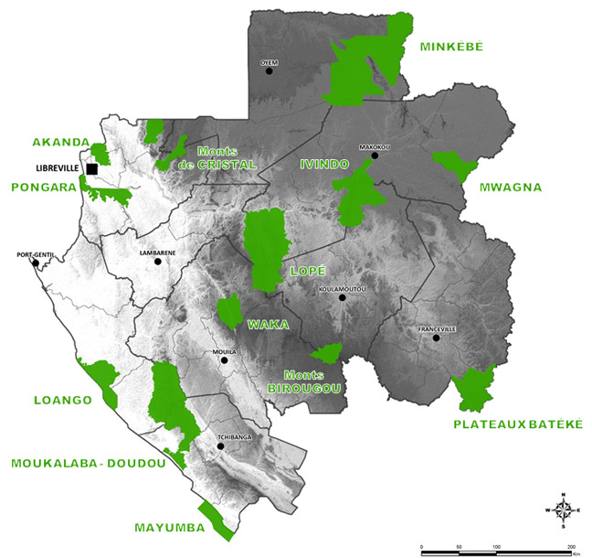 LES PARCS NATIONAUX DU GABON À DÉCOUVRIR