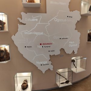 musée national du Gabon