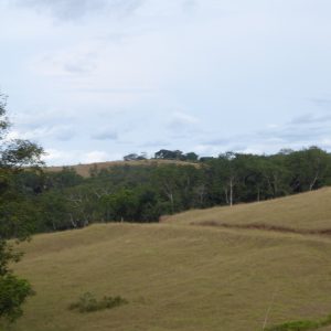 Plaine Parc de la lopé