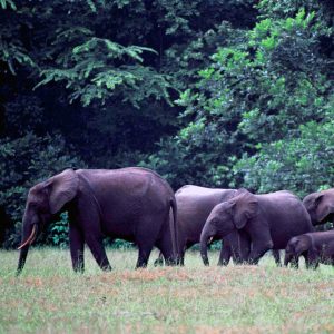 lgo-dh-02IGUELA-1920x1603