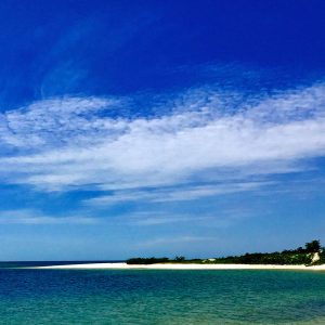 Credit: Amazing Gabon